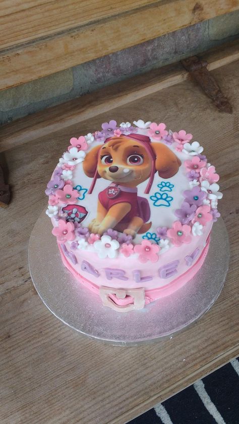 Paw Patrol Birthday Cake Girl, Skye Birthday Party Paw Patrol, Paw Patrol Party Cake, Skye Paw Patrol Cake, Paw Patrol Birthday Party Cake, Sky Paw Patrol, Paw Patrol Cupcakes, Paw Birthday, Paw Patrol Birthday Cake