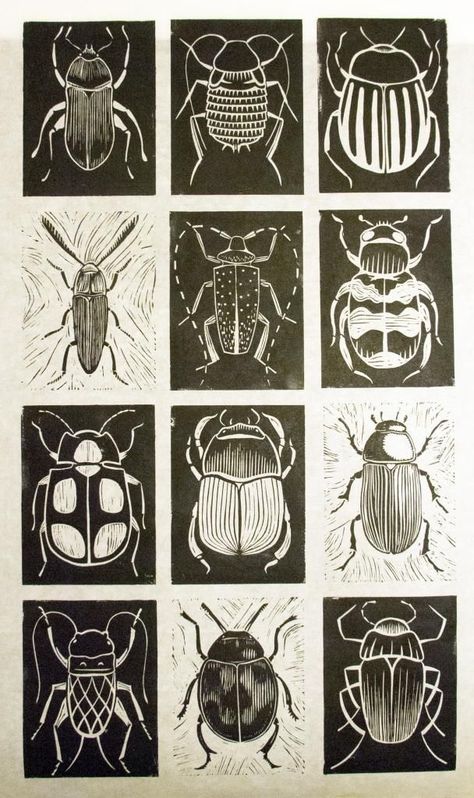 Lino Cuts, Lino Prints, Bug Art, Scratch Art, Lino Cut, Linocut Art, Illuminated Letters, Insect Art, Encaustic Painting