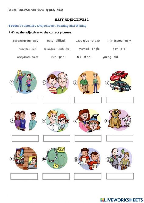 Adjectives Worksheet, Common Adjectives, English Adjectives, Adjective Worksheet, Second Language, Summer Bucket Lists, Summer Bucket, School Subjects, Vocabulary