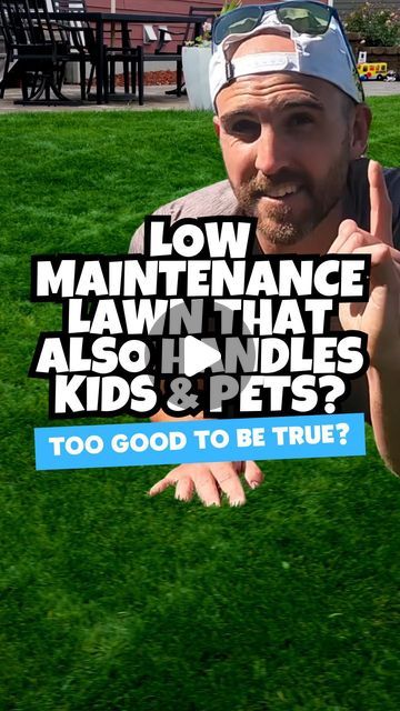 Chris Kanan on Instagram: "LOW MAINTENANCE LAWN WITH DOGS 🐶& KIDS ⚽️!? ⤵️

One of my FAQ’s: I want a nice lawn, but DOGS….HELP! 😭

This grass type handles great with high TRAFFIC, DROUGHT, and is LOW MAINTENANCE! 

RESILIENCE II TURF TYPE TALL FESCUE 👏🏻
☀️ | Thrives in FULL SUN
🌳 | Handles well in SHADY environments 
🥵 | DROUGHT tolerant 
🏃🏻‍♂️ | TRAFFIC tolerant (great for DOGS and KIDS)
🛠️ | LOW MAINTENANCE 
📍 | Great option for COOL SEASON and TRANSITION zones 

BLUE RESILIENCE is the same with added Kentucky Bluegrass for some added self repair qualities, which makes it another great option for yards with pets, kids, and high traffic. 

📚 | Download my FREE guide “What Grass is BEST for Me!?” for all my recommendations on what seed is best for you, your local environment, an Tall Fescue Grass Lawn, Fescue Grass Lawn, Dog Yard Landscaping, Low Maintenance Lawn, Tall Fescue Lawn, Tall Fescue Grass, Grass Alternative, Pet Grass, Tall Fescue