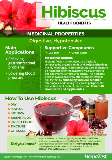 Hibiscus | HerbaZest Hibiscus Benefits Health, Hibiscus Benefits, Lower Ldl Cholesterol, Hidden Talents, Essential Oils Herbs, Medical Facts, Herbal Apothecary, Sour Taste, Diy Health