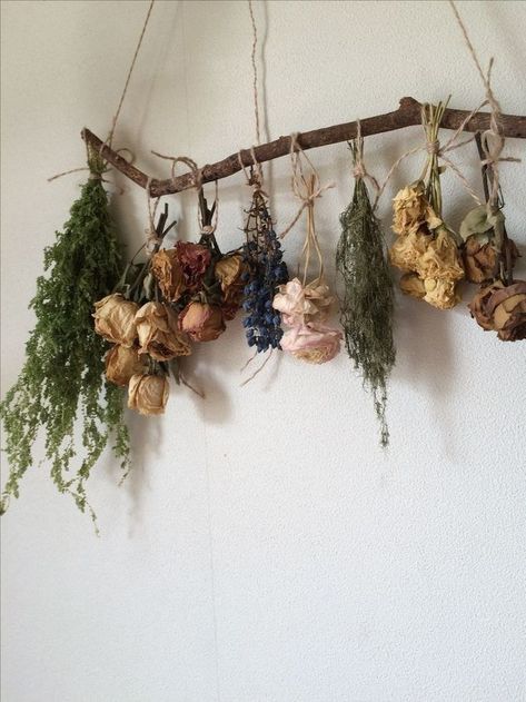 Apothecary Decor Bedroom, Dried Flowers Room Decor, Dried Flower Hanging, Koti Diy, 강아지 그림, Dekorasi Kamar Tidur, Flower Therapy, Dreamy Room, Product Recommendations