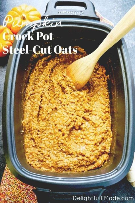 Pumpkin Slow Cooker, Steel Cut Oats Crockpot, Slow Cooker Steel Cut Oats, Pumpkin Steel Cut Oats, Slow Cooker Oatmeal Recipes, Steel Cut Oatmeal Recipes, Crockpot Oatmeal, Pumpkin Crockpot, Slow Cooker Oatmeal