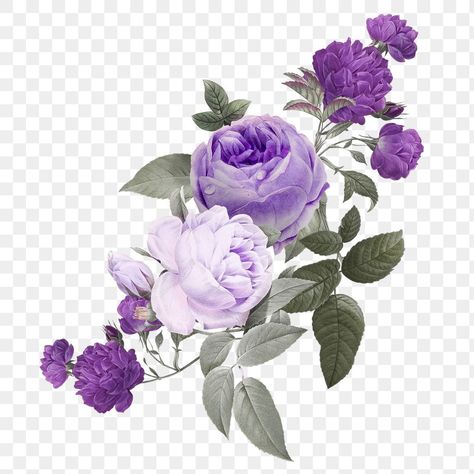 Purple Elements, Flower Bouquet Vintage, Flower Bouquet Png, Purple Flower Background, Purple Png, Purple Flower Bouquet, Flower Png Images, Flower Frame Png, Pink Flowers Wallpaper