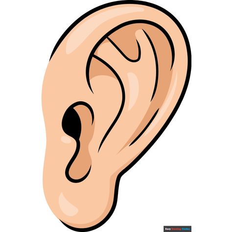 How to Draw a Cartoon Ear Ear Cartoon Drawing, Ears Drawing Cartoon, Cartoon Brain Drawing, Ear Clipart, New Drawing Ideas, Ear Drawing, Cartoon Brain, Ear Picture, Brain Drawing