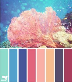 color palette Coral Reef Color, Bathroom Color Palette, Coral Colour Palette, Best Bathroom Colors, Coral Colour, Beach Color, Bedroom Paint Colors, Design Seeds, Coral Reef