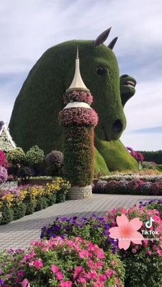 Miracle Garden Dubai, Things To Do In Dubai, Dubai Garden, Miracle Garden, Gardens Of The World, Very Beautiful Flowers, Beautiful Flowers Photography, Lovely Flowers Wallpaper, Most Beautiful Gardens