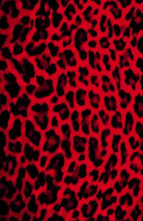 Trashy Y2k Wallpaper, Mall Goth Wallpaper, Y2k Wallpaper Aesthetic, Pink Black Wallpaper, Decorate Front Porch, Emo Backgrounds, Black Wallpaper Aesthetic, 2000s Wallpaper, Leopard Print Wallpaper