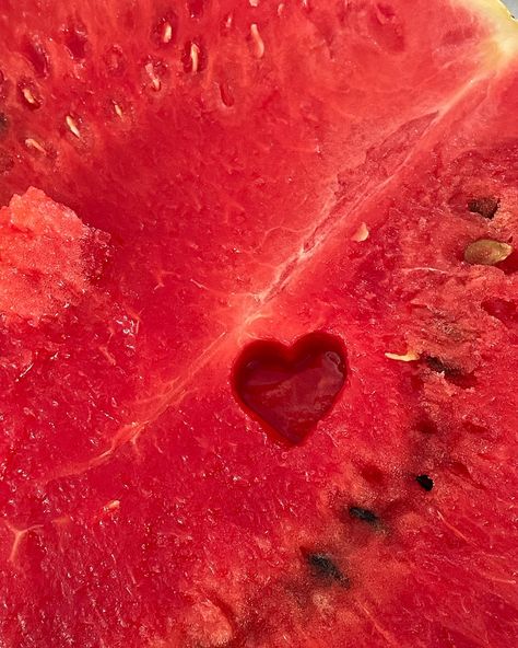 summer 🍉 . . . . . #food #fruit #watermelon #watermelon🍉 #summerfruit Watermelon Astethic, Watermelon Pink Aesthetic, Watermelon Aesthetic, Watermelons Aestethic, Summer Watermelon Aesthetic, Watermelon Beach Aesthetic, Food Babe, Summer Fruit, Melon