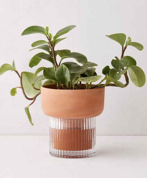 Planter Design, Unique Planter, Self Watering Planter, Busy People, Small Planter, Self Watering, Plant Mom, Plant Lady, Plant Life