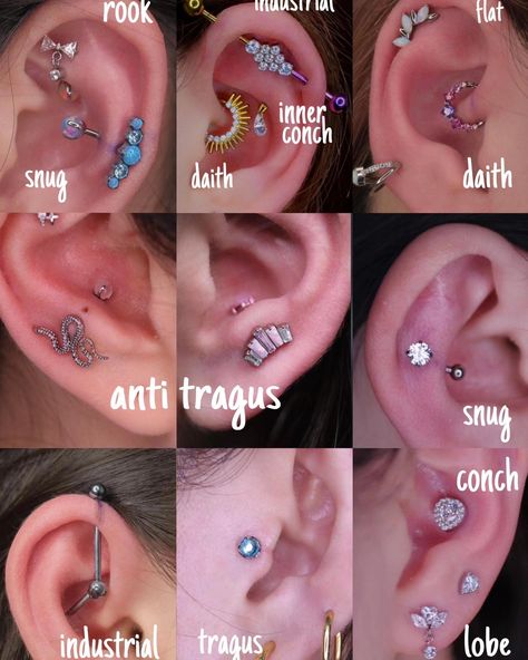 earring rings Ear Piercings Names, Industrial Ear Piercing, Ear Piercings Ideas, Industrial Earring, Ear Piercing Names, Inner Ear Piercing, Hip Piercing, Septum Nose Piercing, Piercing Collection