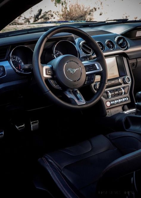 Blacked Out Mustang, Mustang Gt Interior, Ford Mustang Gt Black, Black Mustang Gt, Mustang Gt 2015, Mustang Car Aesthetic, Interior Car Cleaning, Car Rolls Royce, 2015 Mustang Gt