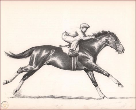 Classic Equine, Race Horse, Horse Books, Western Artist, Equestrian Art, Racing Art, Horse Silhouette, Horse Tattoo, Most Beautiful Horses