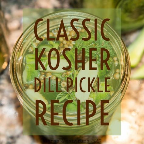 The Ultimate Classic Kosher Dill Pickle Recipe Kosher Dill Pickle Recipe, Pickling Crock, Picked Eggs, Pickle Party, Kosher Pickles, Homemade Pickles Dill, Kosher Dill Pickles, Pickle Recipes Homemade, Dill Pickle Recipe