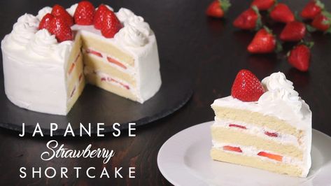 JAPANESE STRAWBERRY SHORTCAKE | How Tasty Japanese Strawberry Shortcake, Shortcake Cookies, Strawberry Shortcake Cookies, Strawberry Shortcake Recipe, Recipe Japanese, Sponge Cake Filling, Strawberry Shortcake Recipes, Vanilla Sponge Cake, Shortcake Recipe