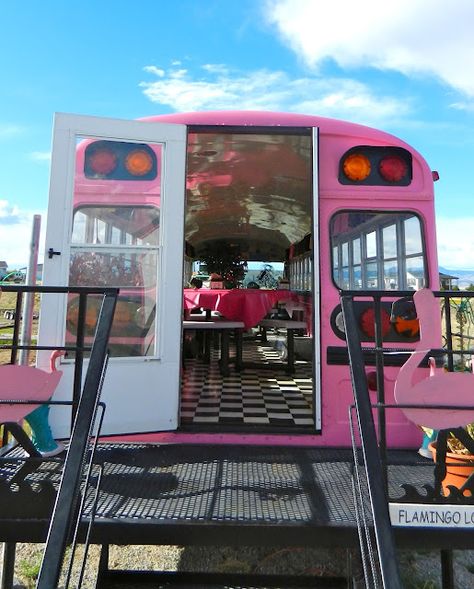 School Bus Dining Pink School Bus, Cafe 50s, Bus Restaurant, Pink Bus, Classroom Interior, Bus Living, Food Truck Business, Grill Parts, Bus Life