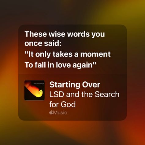 Lsd And The Search For God Band, Weird Words, Underground Music, Falling In Love Again, The Search, Wise Words, Songs, In This Moment, Plants