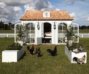 victorian chicken coop | Feast your eyes on the most outrageous chicken coop you've ever seen ... Fancy Chicken Coop, French Chicken, Hen Farm, Fancy Chickens, Hgtv Garden, Coop Design, Raising Backyard Chickens, Beautiful Chickens, Backyard Poultry