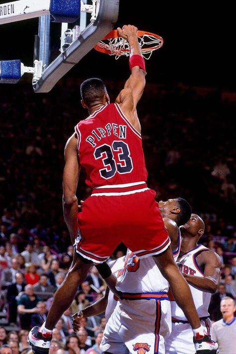 Michael Jordan Pictures, Best Nba Players, Small Forward, Bulls Basketball, Michael Jordan Basketball, Sport Nutrition, Scottie Pippen, Basketball Photography, Chicago Sports