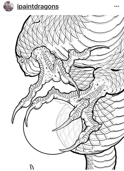 Dragon Body Reference, Dragon Hands, Japanese Dragon Design, Dragon Tattoo Drawing, Japanese Dragon Drawing, Dragon Anatomy, Backpiece Tattoo, Dragon Hand, Dragon Tattoo Art