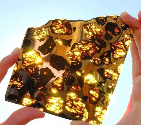 GEMSTONES FROM OUTSIDE EARTH- The Fukang Pallasite - Imgur Iron Meteorite, Pretty Rocks, Cool Rocks, Love Rocks, Beautiful Rocks, Rocks And Gems, Minerals And Gemstones, Gems And Minerals, Stone Rocks