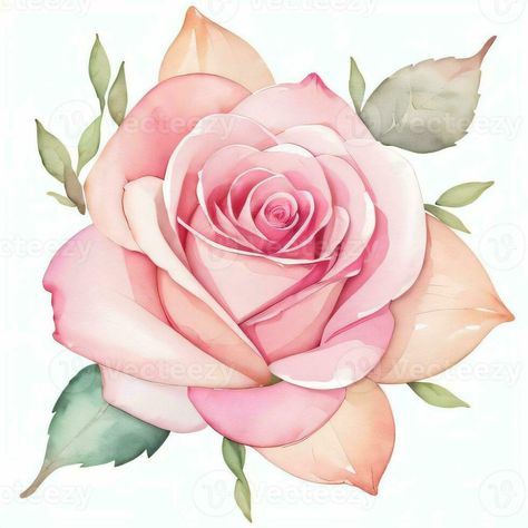 Pink Watercolor Roses Clipart Cute Roses, Roses Clipart, Planner Aesthetic, Roses Watercolor, Flower Line Drawings, Rose Clipart, Flower Drawings, Watercolor Clip Art, Garden Watercolor