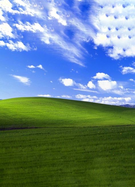 Windows Vista Wallpaper, Windows Xp Wallpaper, My First Vlog, Cool Desktop Wallpapers, Dream Wallpaper, Grass Wallpaper, Desktop Background Pictures, Windows Wallpaper, Frutiger Aero