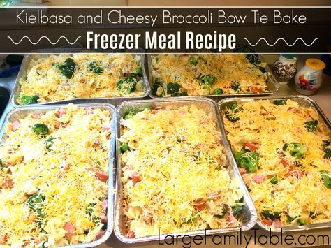 Alfredo Noodles, Large Family Dinner, Large Family Table, Noodle Bake, Family Freezer, Chicken Freezer Meals, Freezer Dinners, Chicken Broccoli Alfredo, Budget Freezer Meals