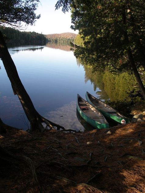 Kayaking Aesthetic, Canoe Camping, Algonquin Park, Wild Eyes, Outdoor Aesthetic, Canoe Trip, Canoes, Canoe And Kayak, Beach Camping