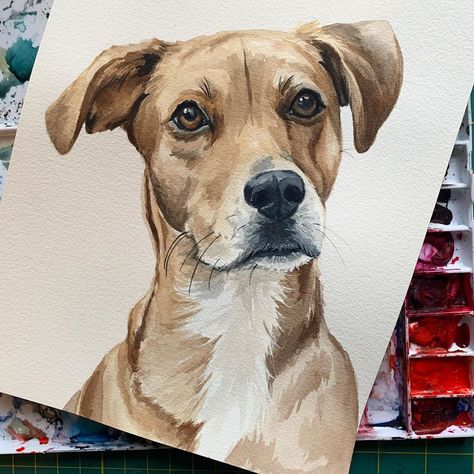 Animal Love Painting, Puppy Watercolor Paintings, Cute Dog Watercolor, Watercolor German Shepherd, Watercolor Dog Portrait Tutorial, Watercolor Pet Portraits How To Paint, Water Colour Pet Portraits, Cat Portrait Painting, Watercolor Dog Portrait