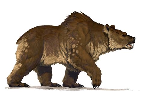 Dire Bear, Mythological Beasts, Dinosaur Drawings, Brown Bear Art, Character Artwork, Beast Creature, Fantasy Concept, Creatures Art, Ancient Animals