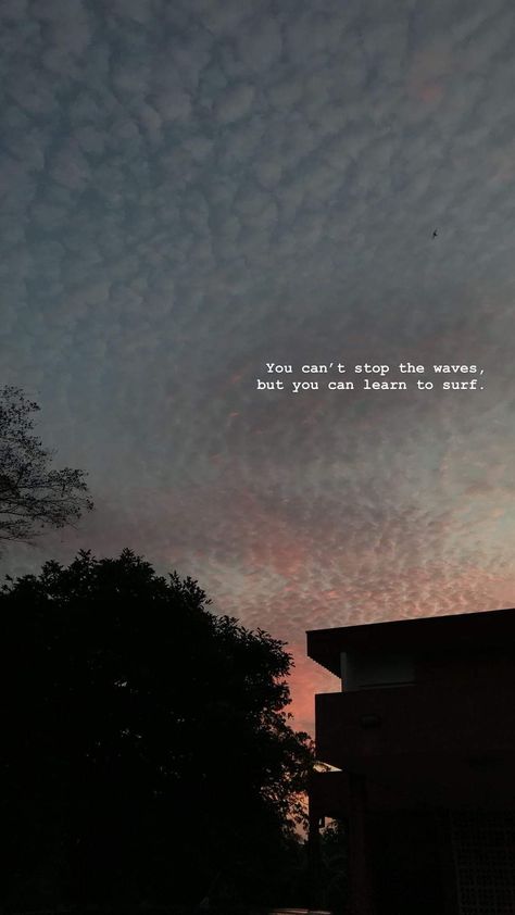 Damn.. that hit my feels Backgrounds White, Sky Quotes, Frases Tumblr, Lines Wallpaper, Learn To Surf, Vie Motivation, Tumblr Quotes, Flower Quotes, Tumblr Wallpaper