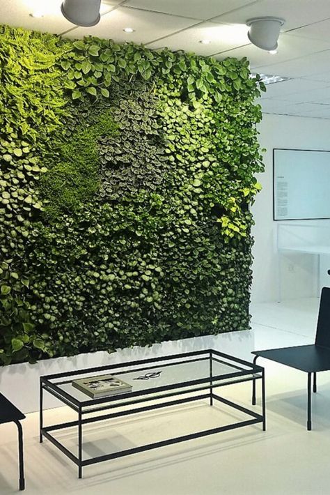 Office Wall Greenery, Office Greenery Wall, Office Living Wall, Eco Office Design, Green Wall In Office, Faux Living Wall Indoor, Fake Living Wall, Plant Wall Office, Office Plant Wall