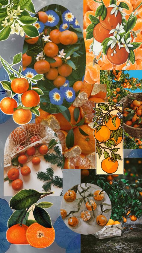 Mandarin Collage #wallpaper #lockscreen #mandarin #orange #tangerine #foodcollage Collage Wallpaper, Mandarin Orange, Collage, Orange