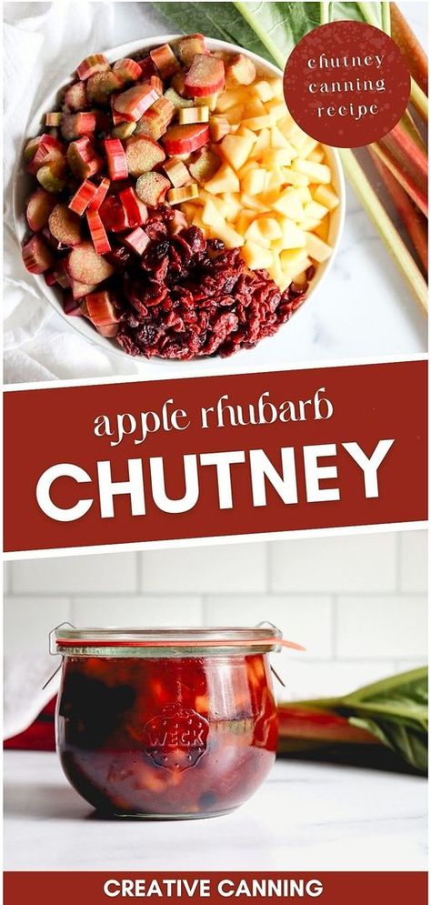 Start your collection of chutney canning recipes with this apple rhubarb chutney recipe. A perfect blend of tangy rhubarb, sweet apples, and tart cranberries, enhanced with warm spices like cinnamon and nutmeg. This chutney is a versatile condiment that will bring zest to pork dishes, charcuterie plates, and more. Ideal for those looking to preserve rhubarb during spring gardening season. Find more canning fruit recipes and preserving fruit in jars tips at creativecanning.com