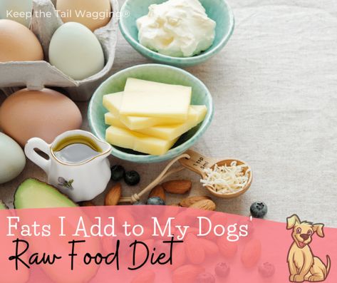 Dog Raw Diet, Raw Dog Food Diet, Tail Wagging, Prepared Food, Raw Dog Food Recipes, Raw Diet, Raw Food Diet, Dog Diet, Fatty Fish