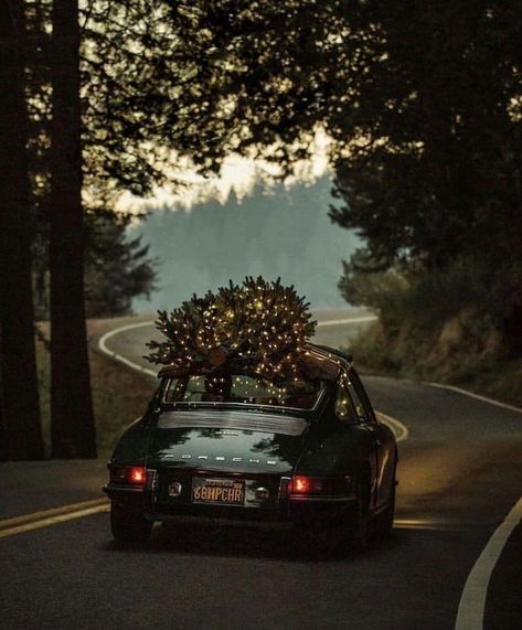 Christmas Tree On Car, Christmas Cars, Driving Home For Christmas, Winter Car, Car Christmas, Christmas Car, Christmas Feeling, Christmas Inspo, Cambridge University