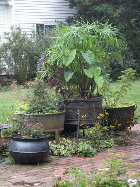 cauldron Cast Iron Cauldron Planter Ideas, Bathtub Garden, Large Cauldron, Cauldron Planter, Spooky Garden, Witches Garden, Witch's Garden, Cast Iron Cauldron, Enchanted Lake