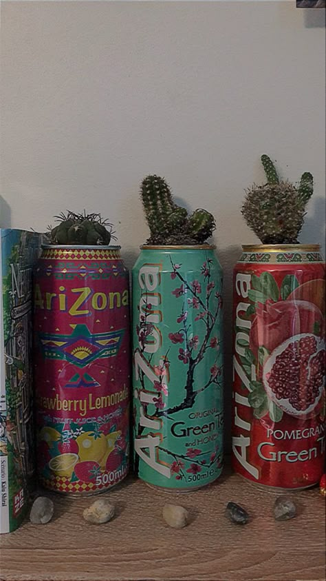 Arizona Iced Tea Can Crafts, Plants In Cans, Arizona Tea Can Crafts, Soda Can Decor, Arizona Can Crafts, Arizona Cans Diy, Guy Bedroom Aesthetic, Arizona Tea Can, Arizona Can