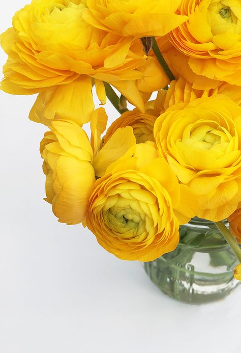 Bridal Arrangement, Flowers Types, Yellow Centerpieces, Yellow Ranunculus, Event Decorating, Mother's Day Cards, Hybrid Tea Roses, Flower Names, Seasonal Flowers