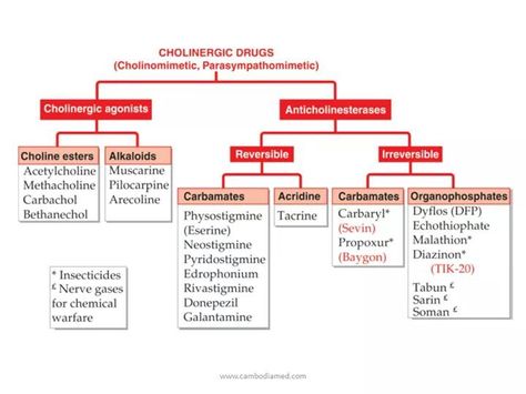 Cholinergic Agonists, Pharmacology Flash Cards, Pharmacology Mnemonics, Emt Study, Dimensional Analysis, Pharmacy Student, Pharmacy School, Pharmacology Nursing, Nursing School Survival