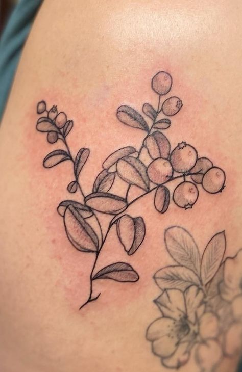 Cranberry Tattoo, Wild Cranberries, Cranberry Tree, Minimalistic Tattoos, Mama Tried, Vine Tattoos, Wishful Thinking, Tree Tattoo, Best Tattoo