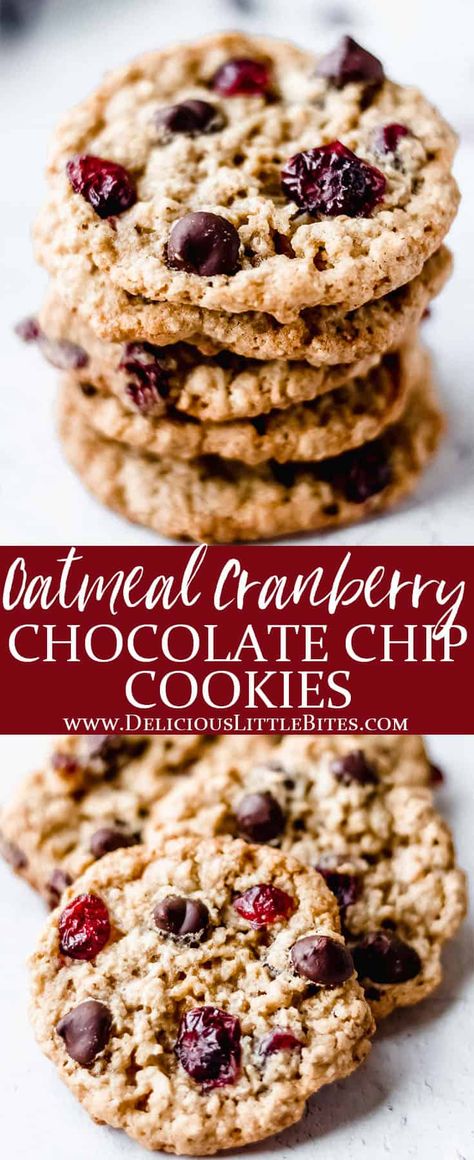 Oatmeal Cranberry Cookies Recipe, Cranberry Chocolate Chip Cookies, Craisin Cookies, Cranberry Cookies Recipes, Cranberry Chocolate, Oatmeal Chocolate Chip Cookie Recipe, Oatmeal Cranberry Cookies, Chocolate Oatmeal Cookies, Cranberry Cookies