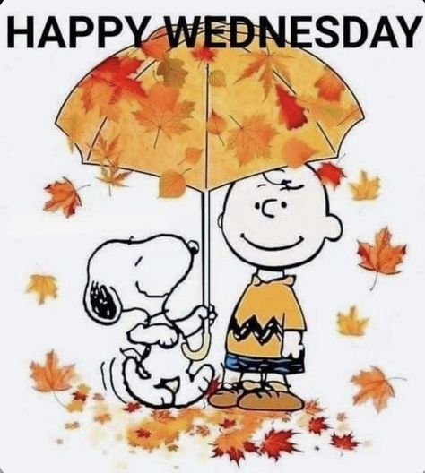 Happy Wednesday! Dress in bright colors today and show off your beautiful self! Wednesday Morning Greetings, Goodnight Snoopy, Snoopy Happy Dance, Wednesday Greetings, Peanuts Wallpaper, Wednesday Dress, Good Morning Snoopy, Snoopy Birthday, Peanuts Charlie Brown Snoopy