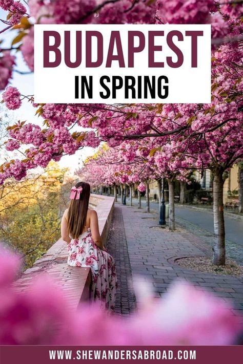 Budapest Packing List Spring, Outfits For Budapest, Budapest Hungary Outfits, Budapest Outfit Spring, Budapest Outfit, Budapest Spring, Budapest Hungary Aesthetic, Hungary Aesthetic, What To Do In Budapest