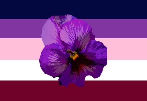 Lesbian Flags, The Archivist, Gender Binary, Lgbt Flag, Lesbian Flag, Shades Of Burgundy, Hope For The Future, The White Stripes, First Crush