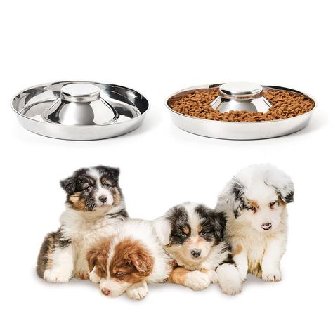 Thankspaw Stainless Steel Puppy Bowls, Set of 2 Puppy Feeder, Dog Food and Water Bowl, Food Feeding Weaning for Small Medium Dog Bowl Design, Puppy Food Bowl, Stainless Steel Dog Bowls, Puppy Bowls, Dog Water Bowls, Dog Food Bowls, Bowl Food, Puppy Supplies, Puppy Food