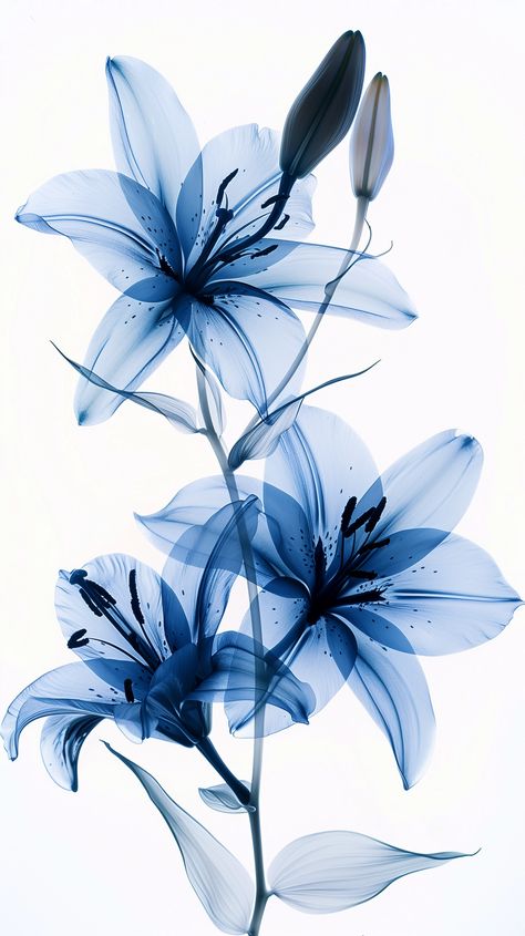 Artistic expression presented by ThetaCursed, License: CC BY-NC 4.0 Blue Flowers Aesthetic, Flower In A Vase, Pretty Blue Flowers, Lilies Drawing, Blue Flower Art, Blue Flower Wallpaper, Funny Phone Wallpaper, Cute Simple Wallpapers, Flowers Blue