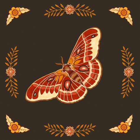 Moth Graphic Design, Moth Art Illustration, Cottagecore Art Wallpaper, Autumn Aesthetic Art, Cottagecore Illustration, Moth Aesthetic, Moth Painting, Moth Illustration, Insects Theme