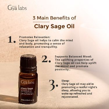 benefits of clary sage oil Essential Oil For Skin, Clary Sage Oil, Sage Plant, Fragrance Oil Blends, Salvia Sclarea, Oil For Skin, Clary Sage Essential Oil, Essential Oils For Sleep, Sage Oil